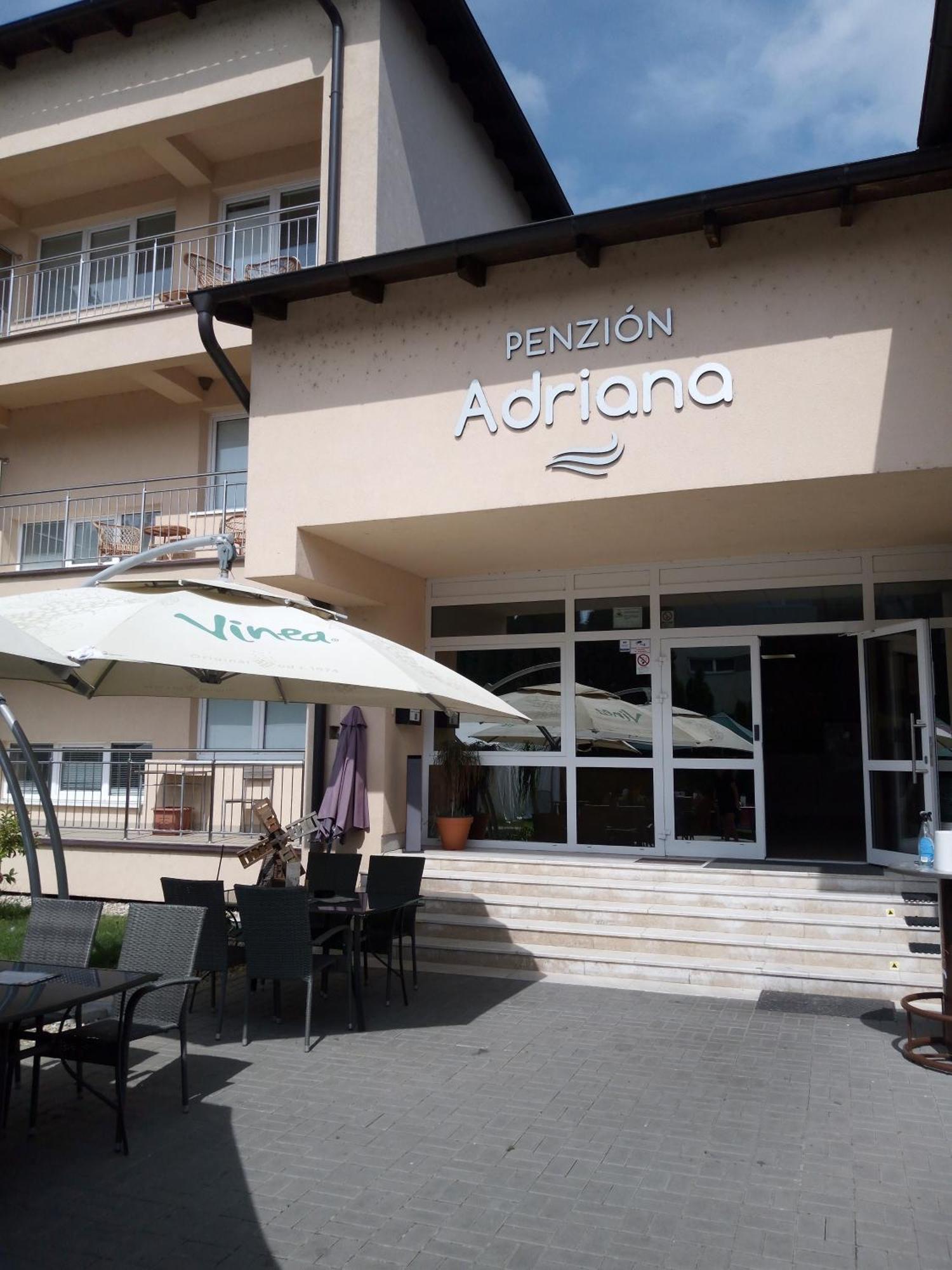 Penzion Adriana Nové Mesto nad Váhom Exterior foto